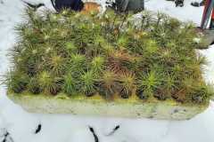 IMG-20220401-WA0007