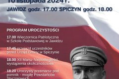 XII Marsz niepodległości - 1
