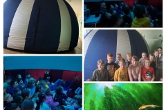 20260331_194303-COLLAGE