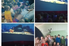 20260331_194428-COLLAGE