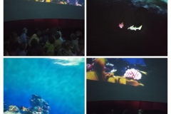 20260331_194459-COLLAGE