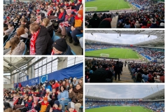 20260331_194640-COLLAGE