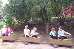 received_262645613402802