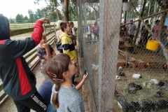 received_272582142395596