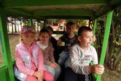 received_330242419454202