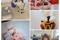 20260209_154231-COLLAGE