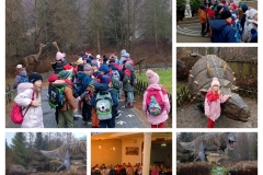 20251209_223113-COLLAGE