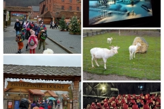 20251209_223212-COLLAGE