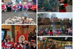 20251209_223411-COLLAGE