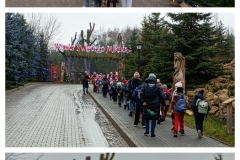 20251209_223509-COLLAGE