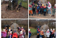 20251210_162317-COLLAGE