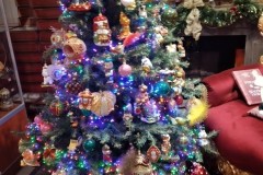 Resized_IMG_20211115_134014