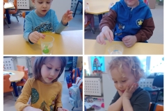 20260319_171439-COLLAGE