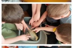 20260319_172456-COLLAGE