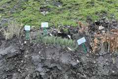 IMG-20230331-WA0007