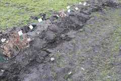 IMG-20230331-WA0008