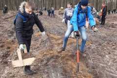 IMG-20230331-WA0035