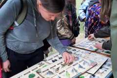 IMG-20230331-WA0052