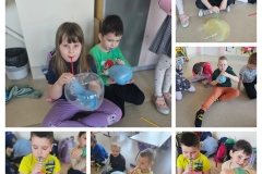 20260307_214119-COLLAGE