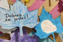 IMG-20221123-WA0005