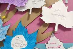 IMG-20221123-WA0006