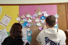 IMG-20221123-WA0012