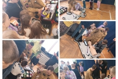 20260127_214210-COLLAGE