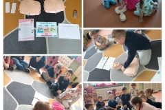 20260127_214437-COLLAGE