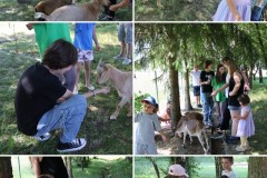 20240617_223236-COLLAGE
