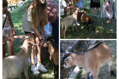 20240617_223334-COLLAGE