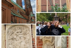 20250917_220954-COLLAGE