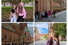 20250917_221155-COLLAGE