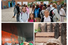 20250917_221717-COLLAGE