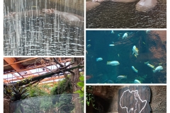 20250917_221802-COLLAGE