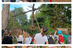20250917_221820-COLLAGE