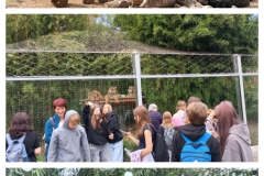 20250917_221843-COLLAGE