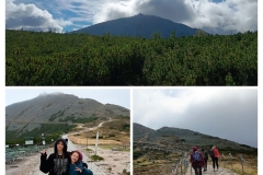 20250917_222052-COLLAGE