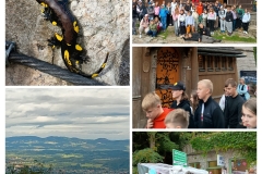 20250919_205548-COLLAGE