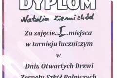 d1