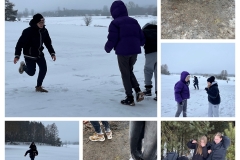 20260205_175341-COLLAGE