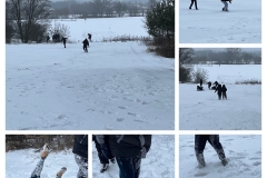 20260205_175414-COLLAGE