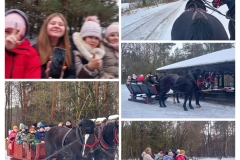 20260213_181753-COLLAGE