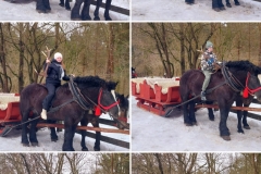 20260213_181855-COLLAGE