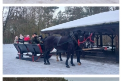 20260213_182504-COLLAGE