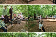 20240620_215047-COLLAGE