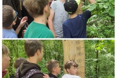 20240620_215734-COLLAGE
