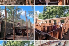 20240620_220343-COLLAGE