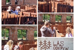 20240620_220412-COLLAGE