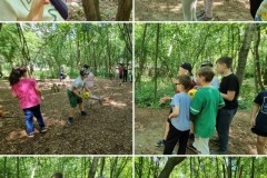20240620_221233-COLLAGE