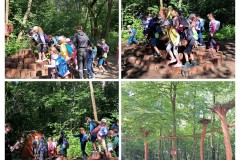 20240620_221526-COLLAGE